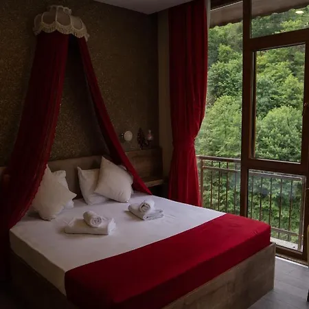 Hotel Ayder Hanedan Cayirduzu